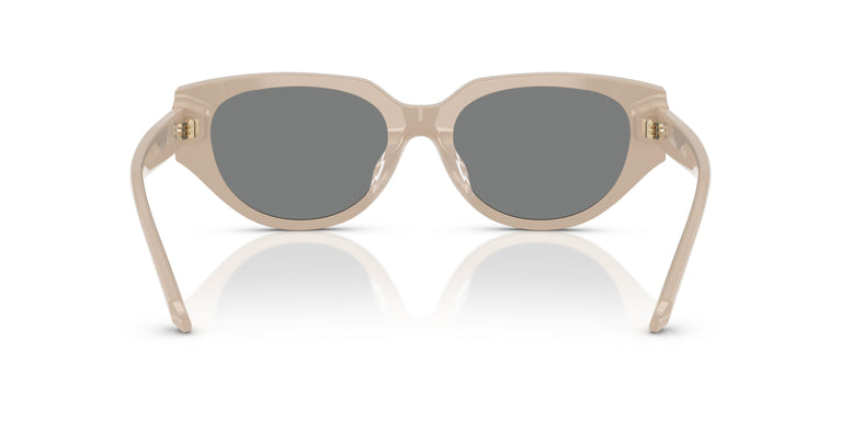 Swarovski SK6035D  106887 54