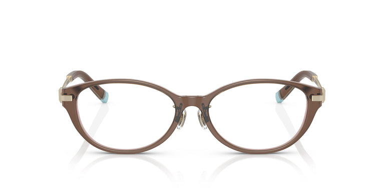 Tiffany & Co. TF2225D 8255 53
