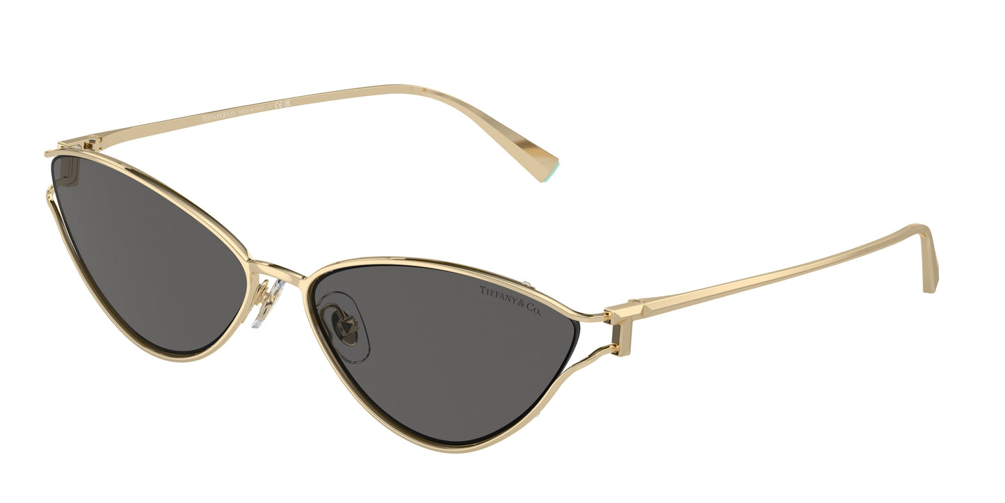 Tiffany & Co. TF3095 6021S4 61