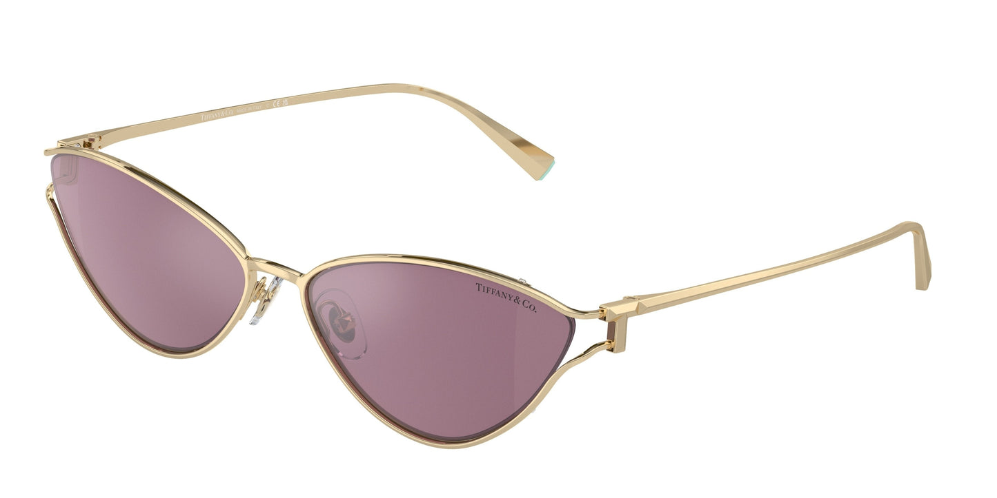 Tiffany & Co. TF3095 6194AK 61