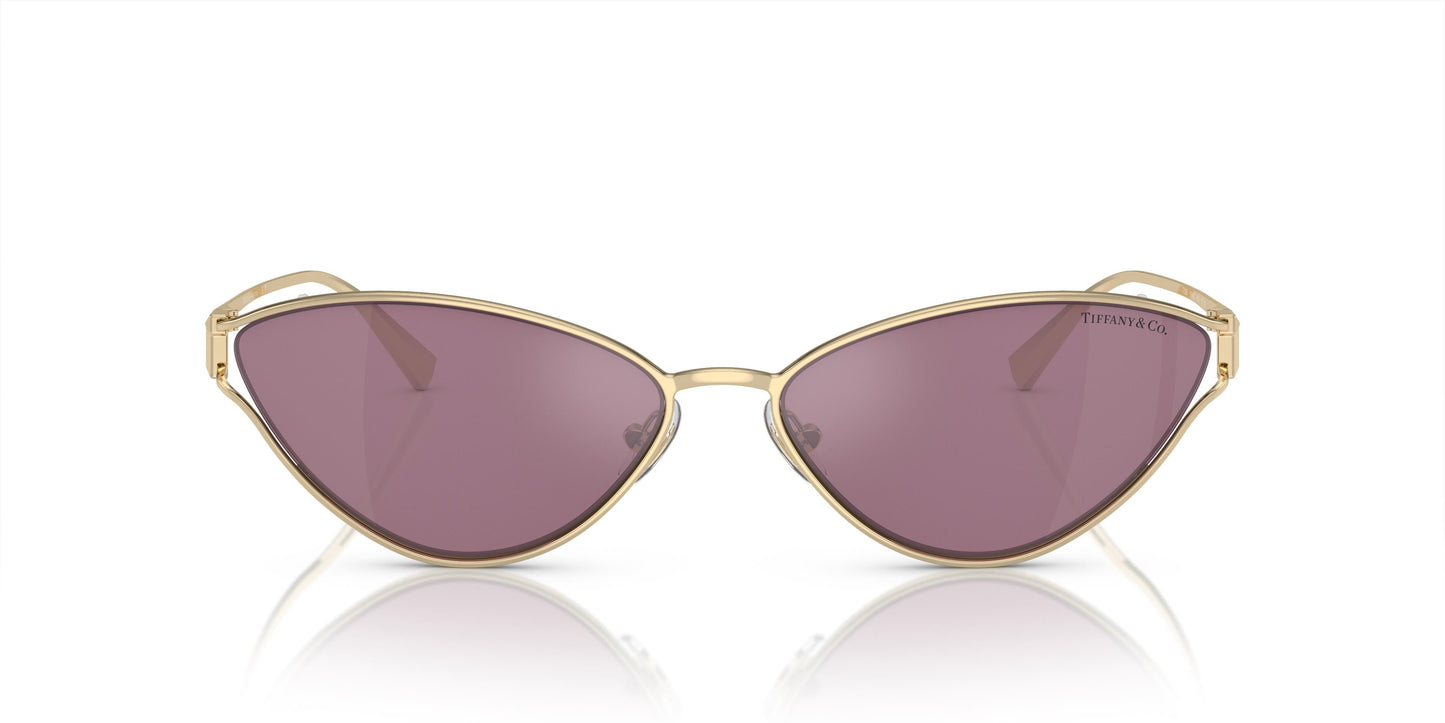 Tiffany & Co. TF3095 6194AK 61