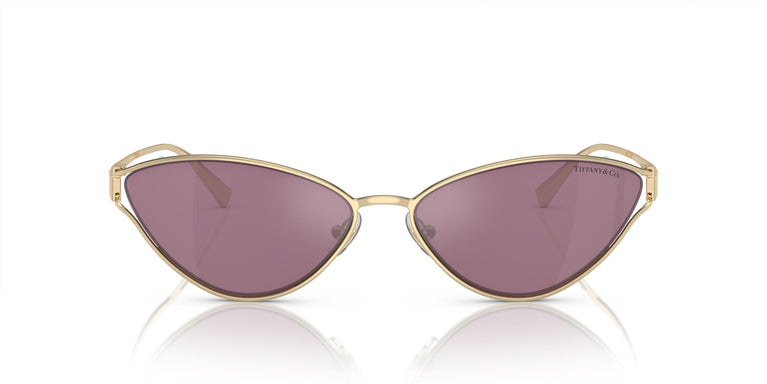 Tiffany & Co. TF3095 6194AK 61