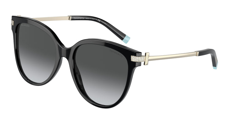 Tiffany & Co. TF4193B 8001T3 55