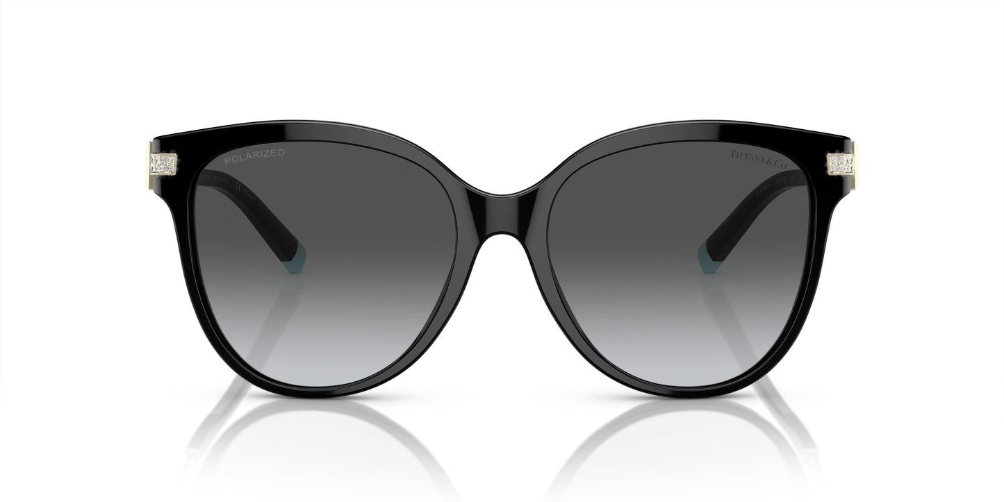 Tiffany & Co. TF4193B 8001T3 55