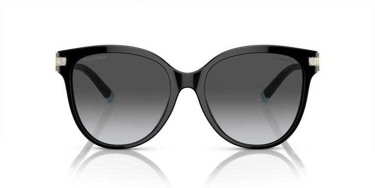 Tiffany & Co. TF4193B 8001T3 55