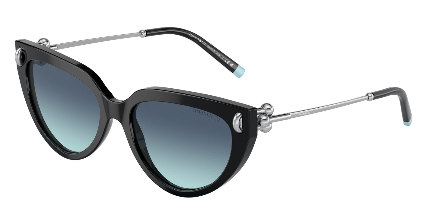 Tiffany & Co. TF4195 80019S 54