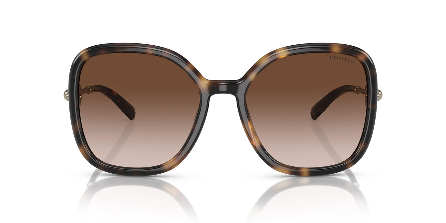 Tiffany TF4202U 80153B 57