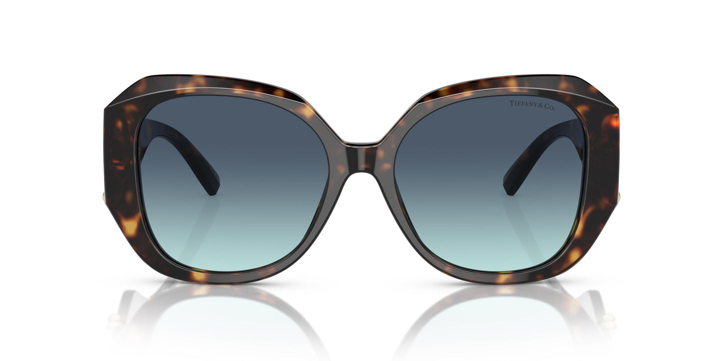 Tiffany & Co. TF4207B 80159S 55