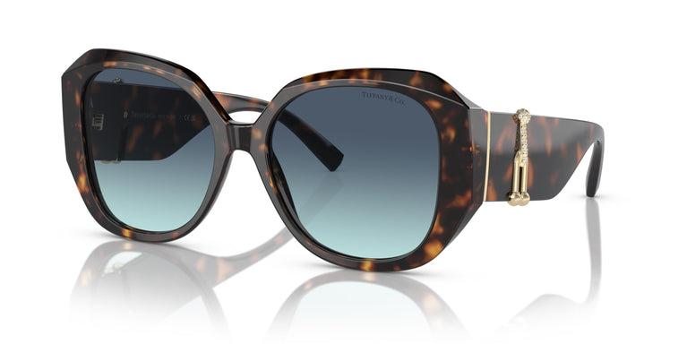 Tiffany & Co. TF4207B 80159S 55