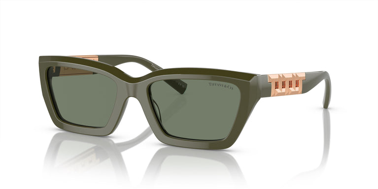 Tiffany & Co. TF4213 839882 54
