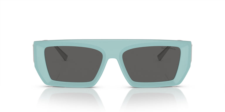 Tiffany & Co. TF4214U 8388S4 54