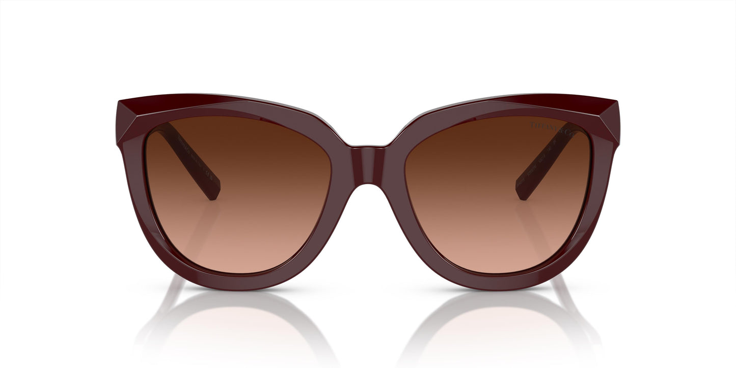 Tiffany & Co. TF4215 83895M 53