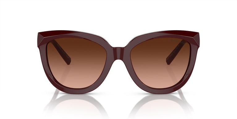 Tiffany & Co. TF4215 83895M 53