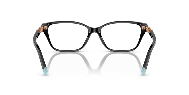 Tiffany TF2229 8420 55