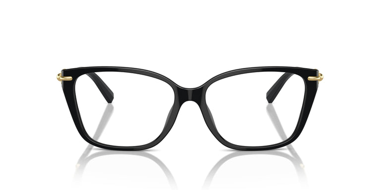 Tiffany TF2248K 8402 55