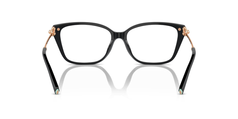 Tiffany TF2248K 8403 55
