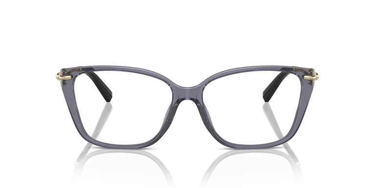 Tiffany TF2248K 8405 55