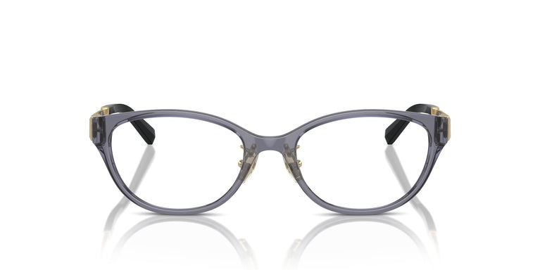 Tiffany TF2252D 8405 51
