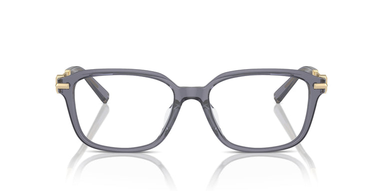 Tiffany TF2253D 8405 54