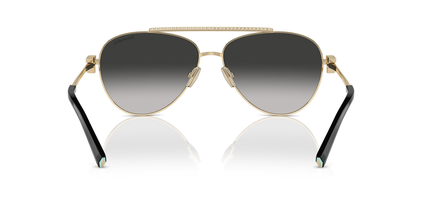 Tiffany TF3101B 60213C 59