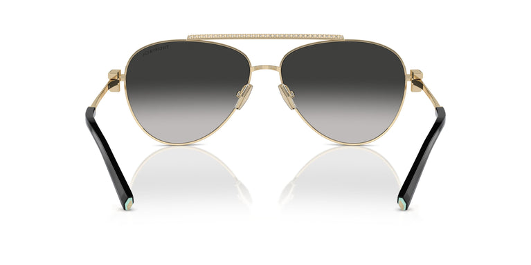Tiffany TF3101B 60213C 59