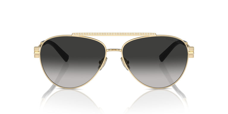 Tiffany TF3101B 60213C 59
