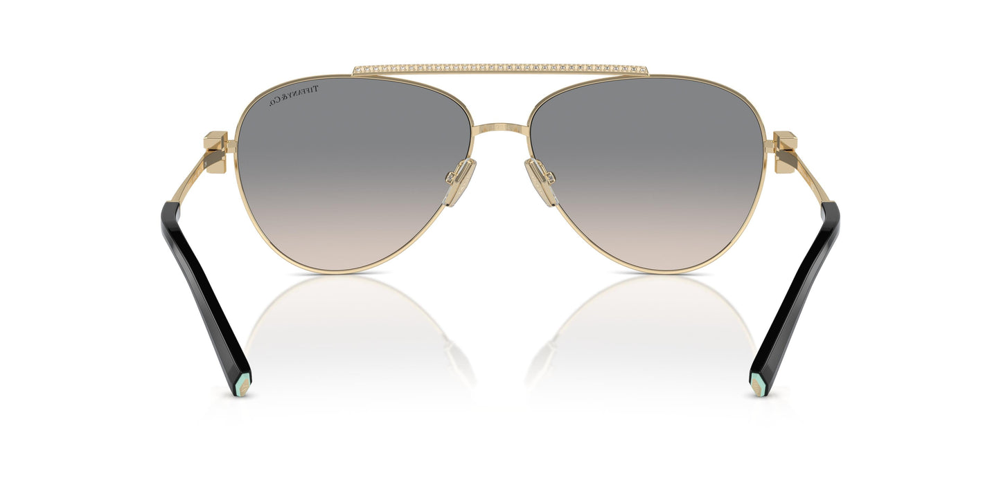 Tiffany TF3101B 61791U 59