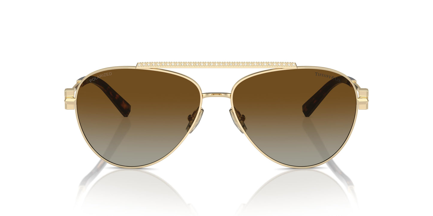 Tiffany TF3101B 6208T5 59