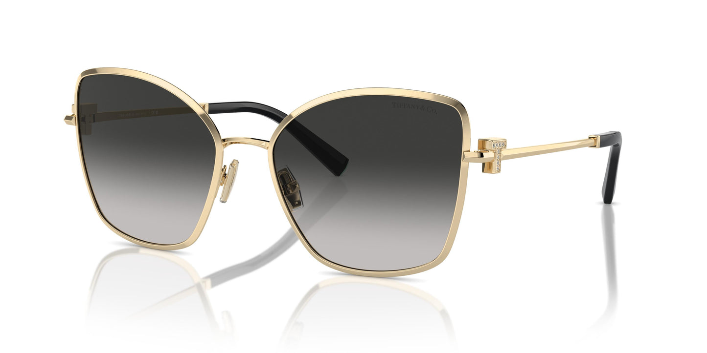 Tiffany TF3102B 60213C 58
