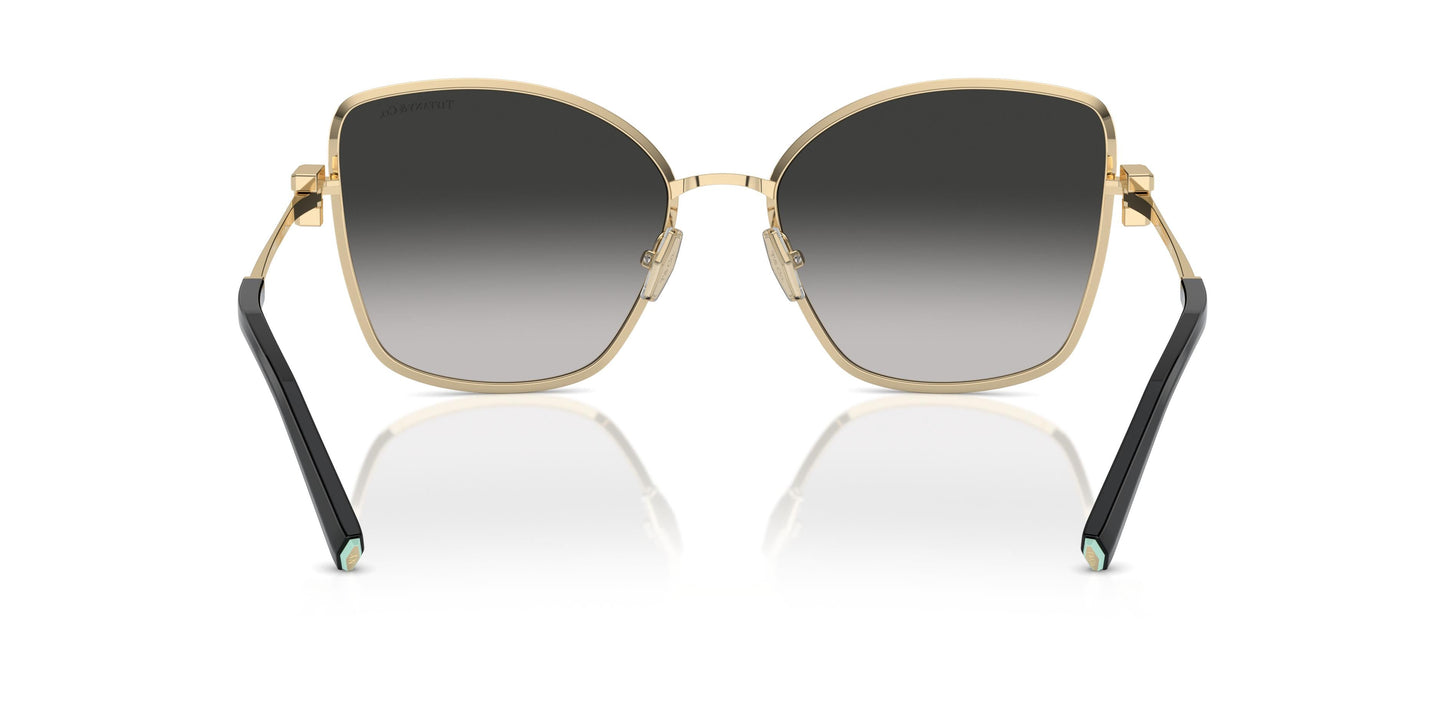 Tiffany TF3102B 60213C 58