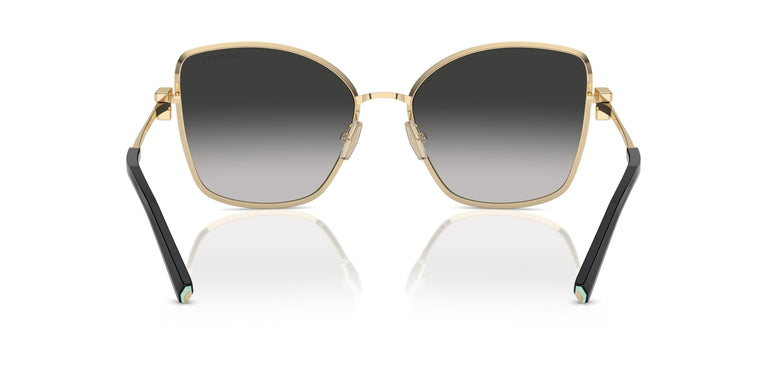 Tiffany TF3102B 60213C 58