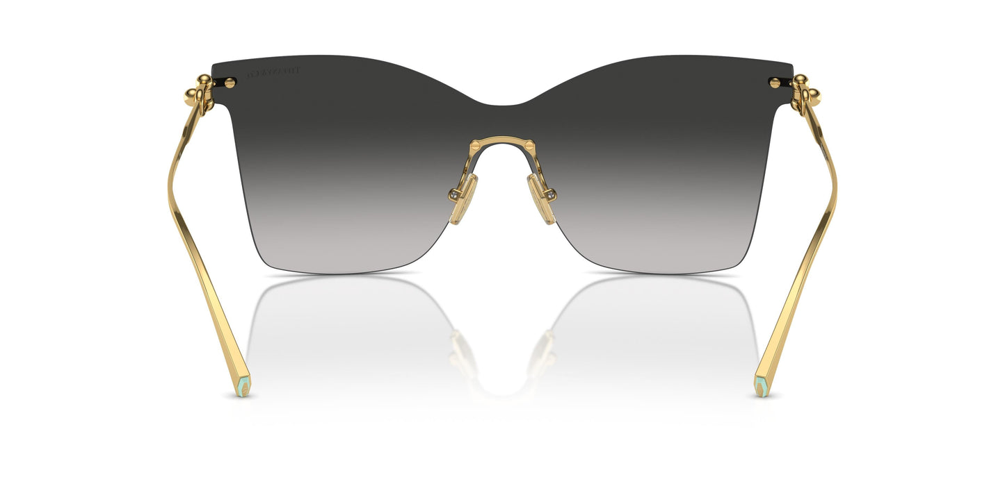 Tiffany TF3103K 62113C 0
