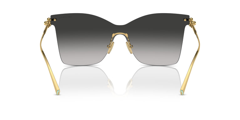 Tiffany TF3103K 62113C 0