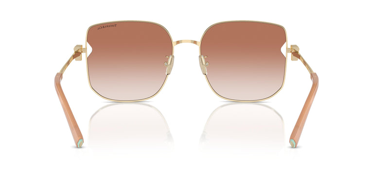 Tiffany TF3105D 616113 58