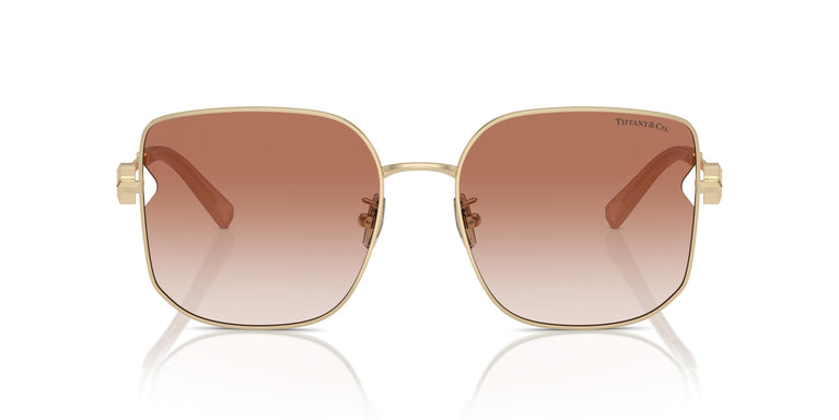 Tiffany TF3105D 616113 58