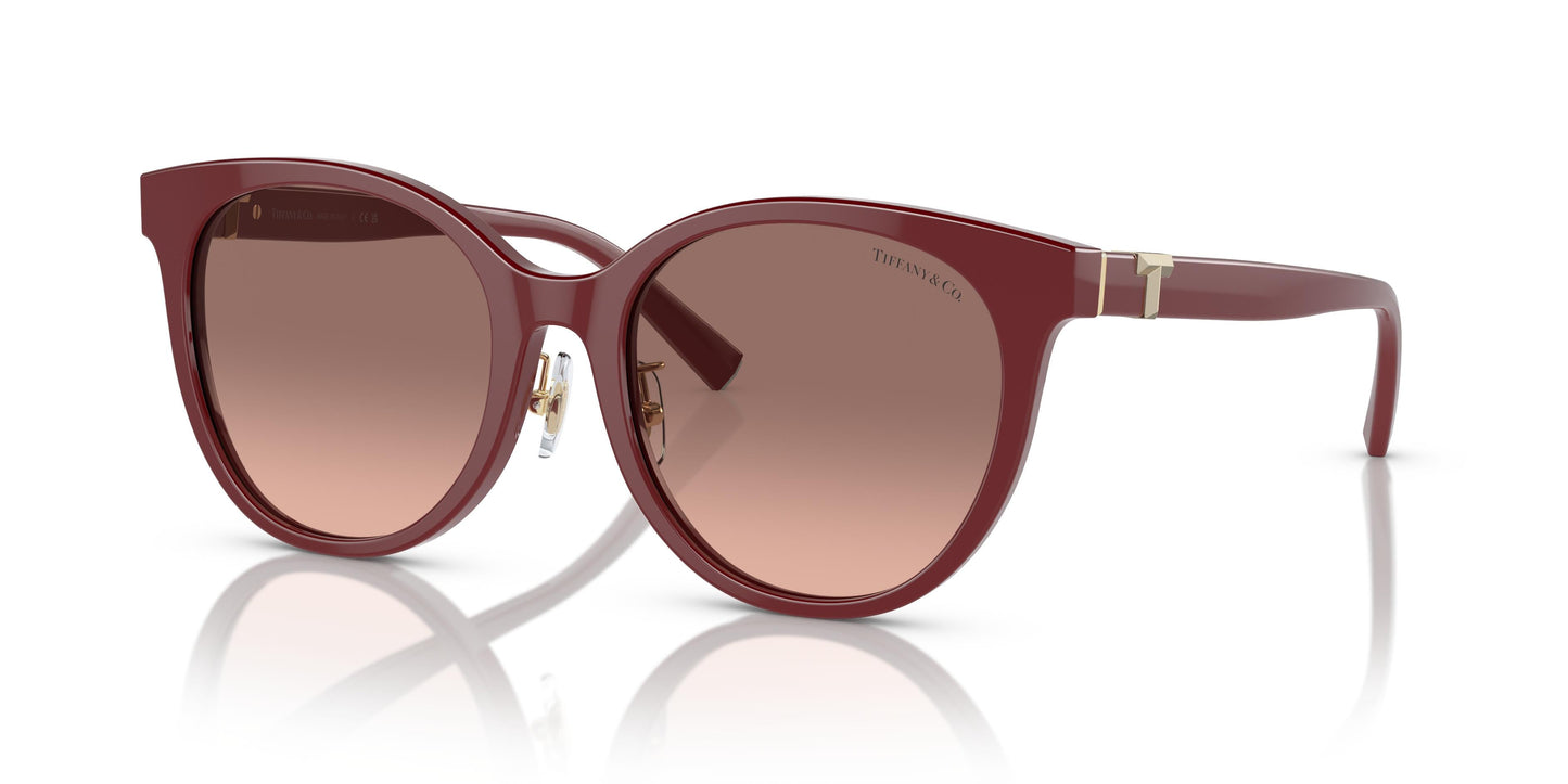 Tiffany TF4209D  836613 54