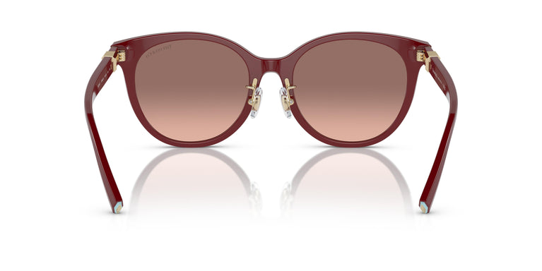 Tiffany TF4209D  836613 54