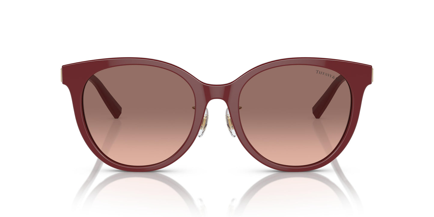 Tiffany TF4209D  836613 54