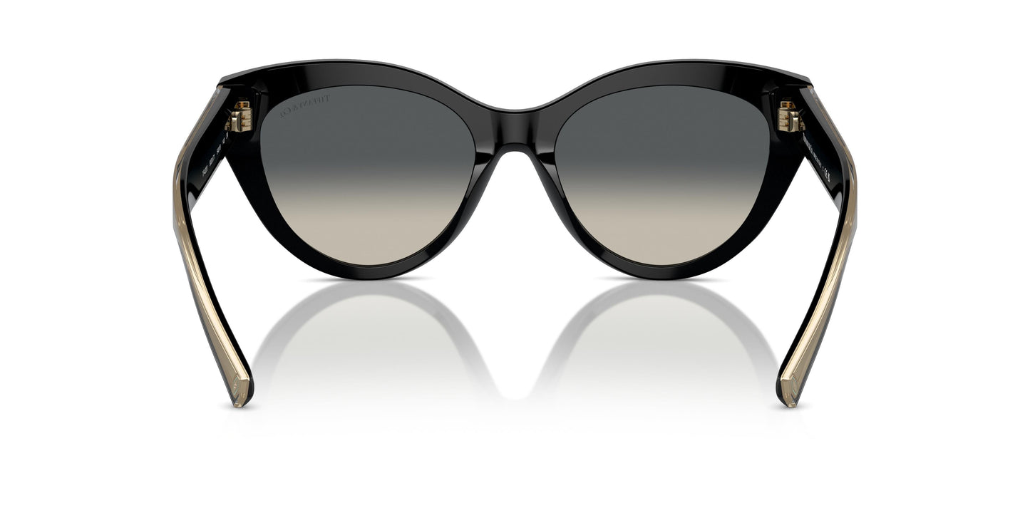 Tiffany TF4220 800171 54