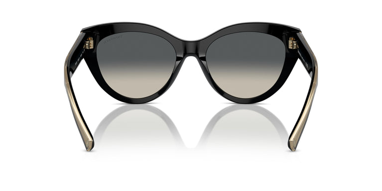 Tiffany TF4220 800171 54