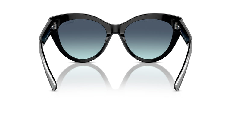 Tiffany TF4220 80019S 54