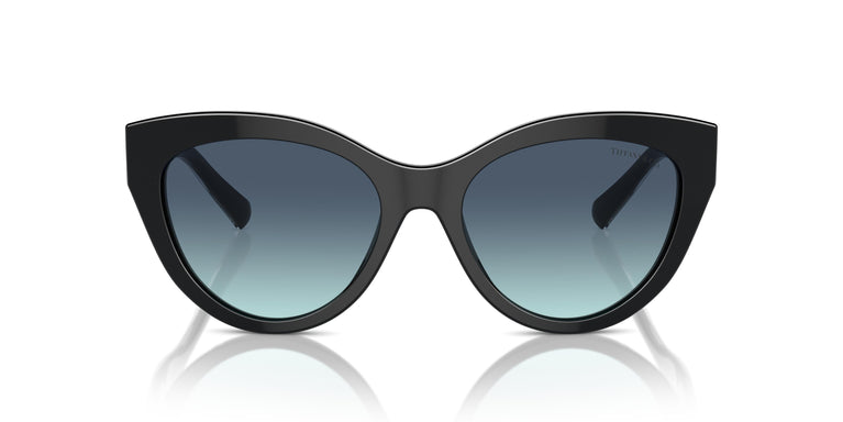 Tiffany TF4220 80019S 54