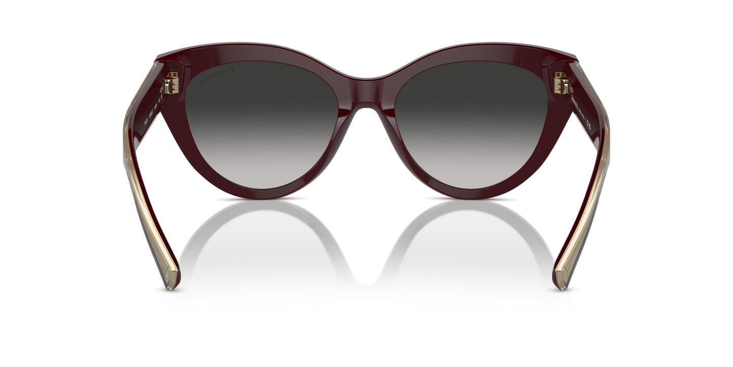 Tiffany TF4220 83893C 54