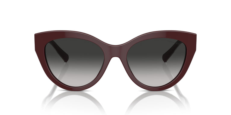 Tiffany TF4220 83893C 54
