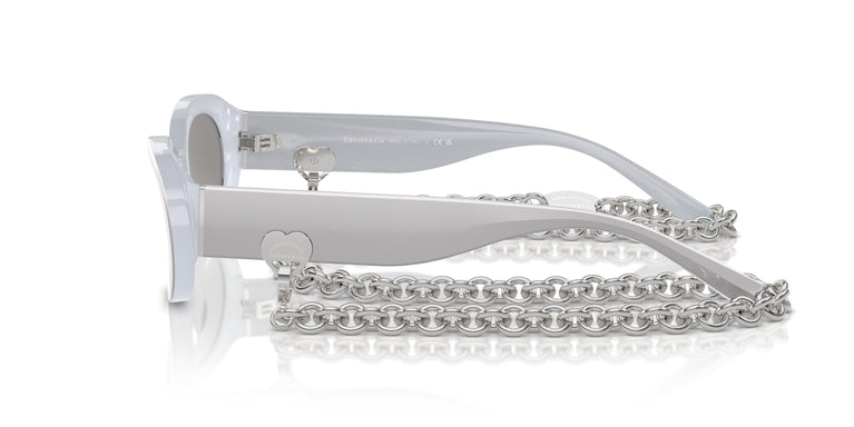 Tiffany TF4221 84106G 54