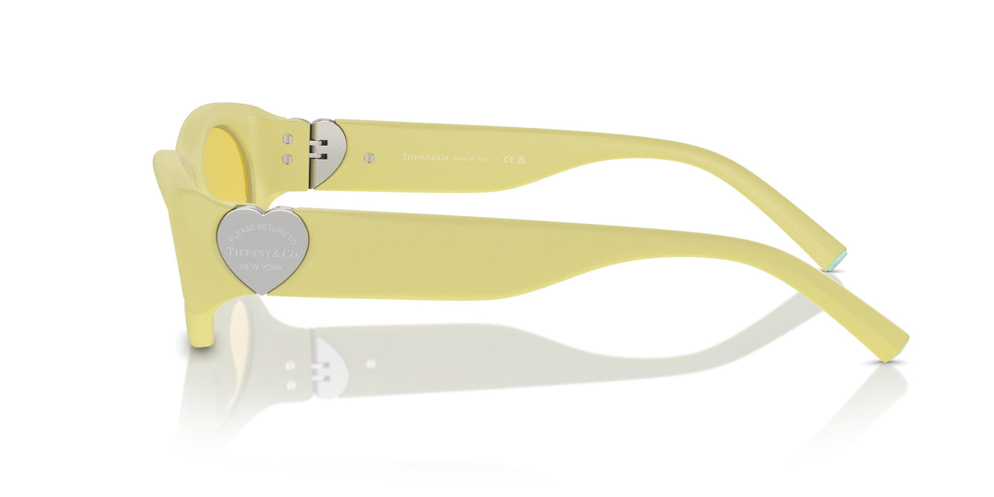 Tiffany TF4222U 84176D 55