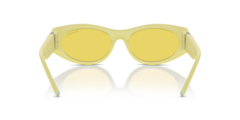 Tiffany TF4222U 84176D 55