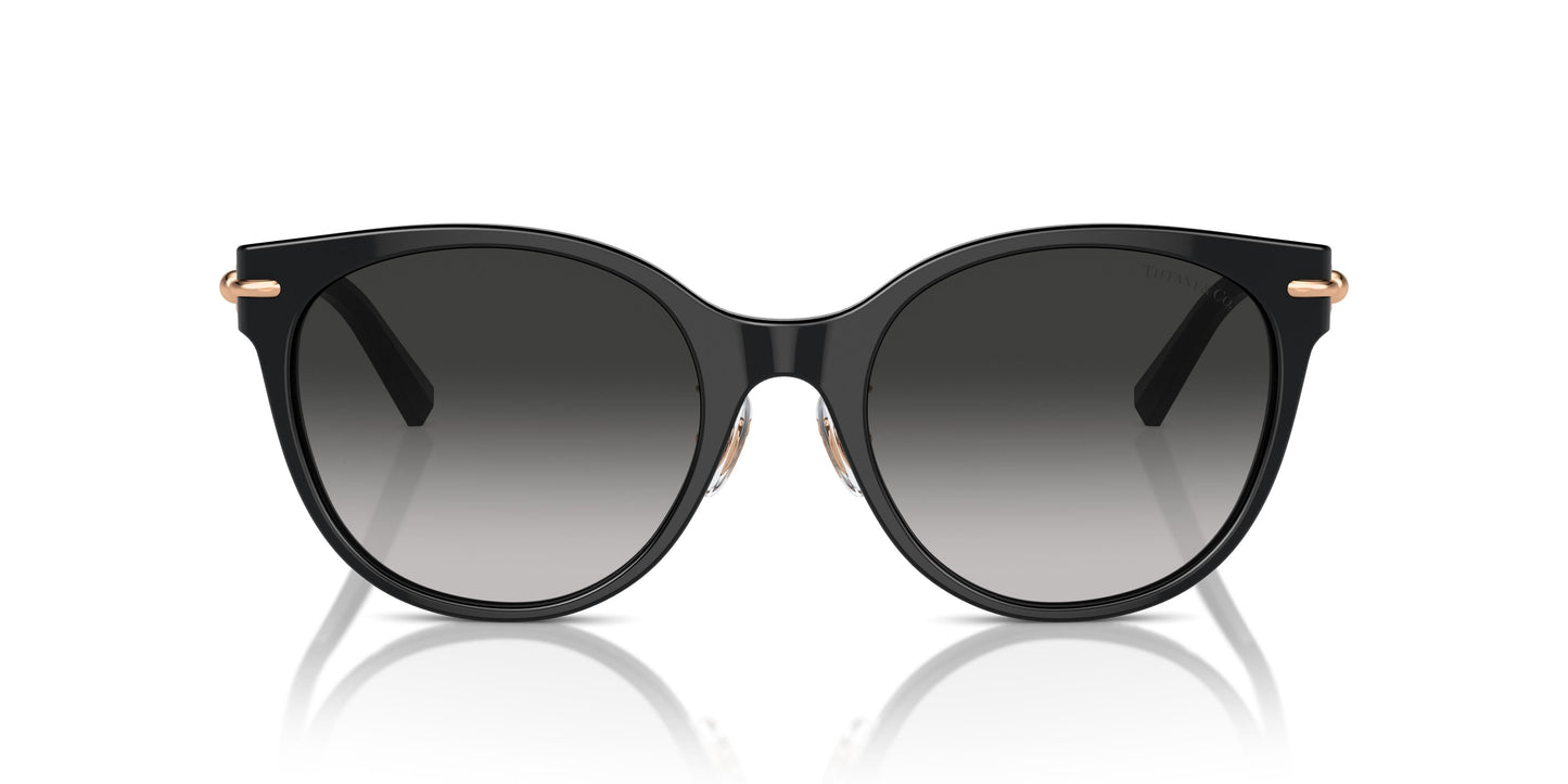 Tiffany TF4223D 80013C 54