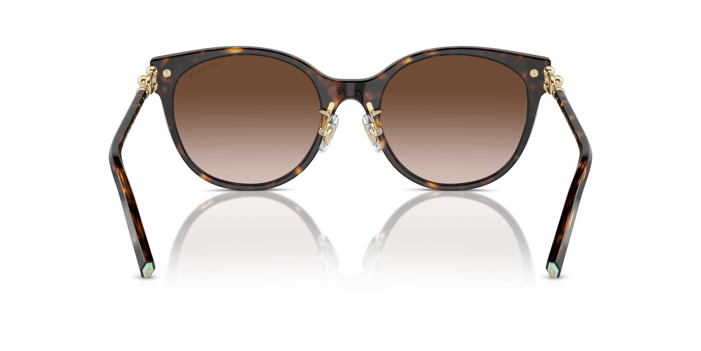 Tiffany TF4223D 80153B 54