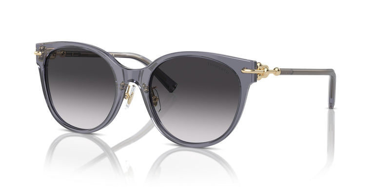 Tiffany TF4223D 84053C 54